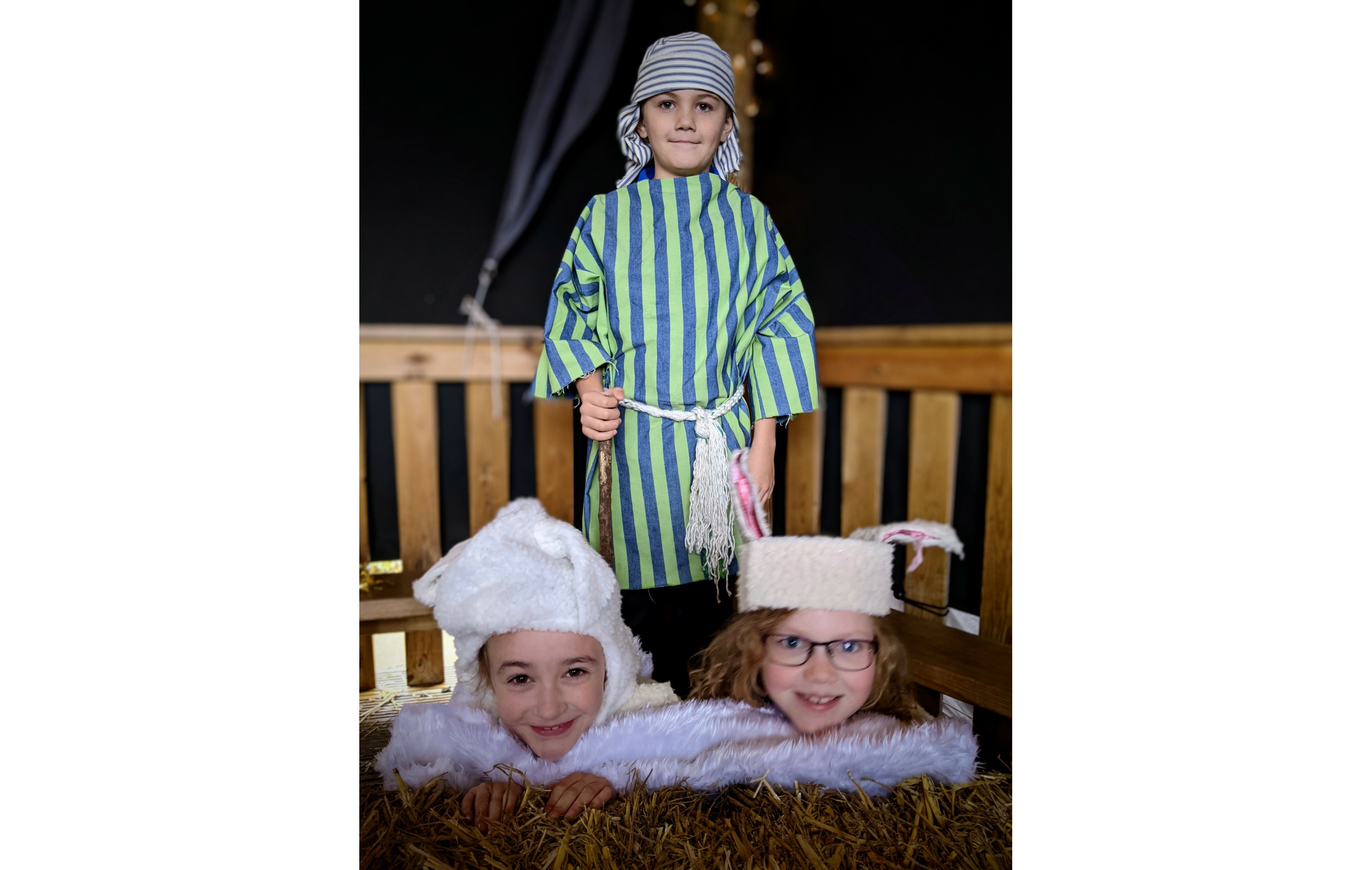 shepherds and sheep 2